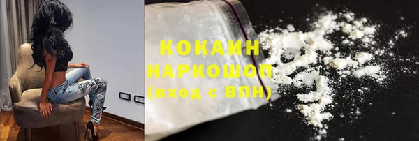 индика Верея