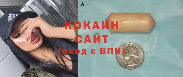 индика Верея