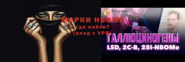 индика Волоколамск