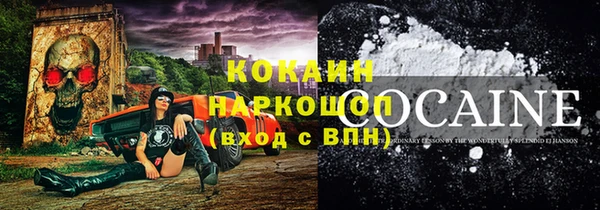 индика Верея