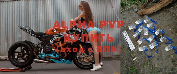 индика Верея
