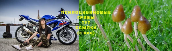 крисы Бронницы
