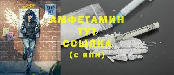 индика Верея