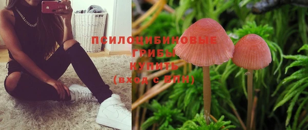 прущие крисы Верхний Тагил