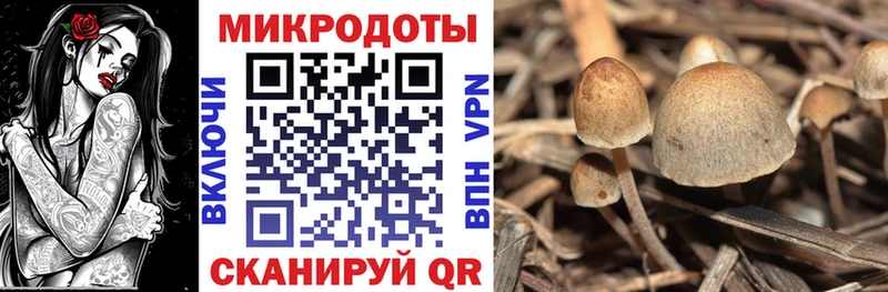Галлюциногенные грибы ЛСД  Инсар 